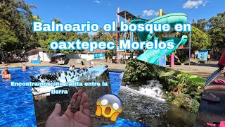 El lugar más hermoso para visitar en Oaxtepec Morelos Balneario ejidal quotEL BOSQUEquot [upl. by Bouchier]