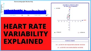 Heart Rate Variability Explained [upl. by Lilli]