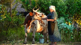 2 Days In The Life Of a Happy Elderly Couple In The Village [upl. by Pettifer462]