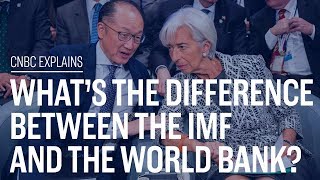 Whats the difference between the IMF and the World Bank  CNBC Explains [upl. by Brote]