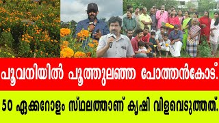 പൂവനിയിൽ പൂത്തുലഞ്ഞ പോത്തൻകോട് POTHENCODEMARIGOLD FLOWER [upl. by Gelasius19]