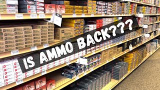 Ammo Prices in March 2024 [upl. by Seiden]