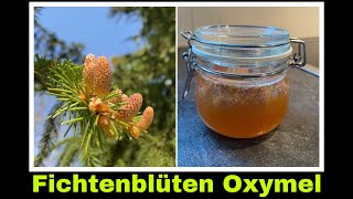 Fichtenblüten Oxymel  Fichte Rezept mit Blüten und Pollen  Selbstversorgung Sauerhonig [upl. by Assiren]