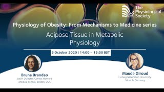 Webinar Adipose Tissue [upl. by Nathaniel]