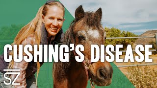 How to Manage Cushings Disease in Horses and Mini Horses [upl. by Mayer]