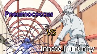 Pneumococcus vs Innate Immunity  quotCells at Work Scientificquot Review 1x01 [upl. by Adnovad]