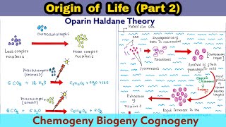 Oparin Haldane Theory  Origin of life  Part 2  Chemogeny  Biogeny  Cognogeny  Evolution [upl. by Nirtiak]