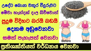 කස කසා ඇට මේ විදිහට ආහාරයට එකතු කරගන්න Benefits of Basil Seeds  kasa kasa ata  Sonduru Diviya [upl. by Anrol]