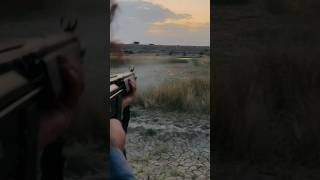 G3A3  308 POF Sporter HK Weapon Target shooting  shorts shortsvideo [upl. by Biron664]