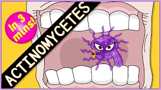 Actinomycetes Microbiology Morphology pathophysiology symptoms diagnosis treatment [upl. by Ahsinit]