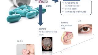 Tema 3 FARMACOCINÉTICA Distribución [upl. by Server387]