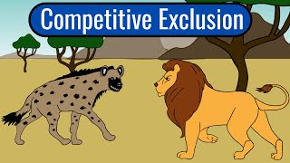 The Competitive Exclusion Principle [upl. by Ilhsa]