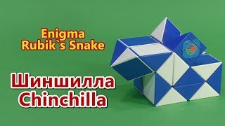 ШИНШИЛЛА Змейка Рубика  CHINCHILLA Rubiks Snake [upl. by Samid]