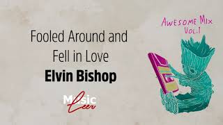 Fooled Around and Fell In Love  Elvin Bishop lyrics [upl. by Sinnej]