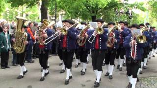 Musikverein MV Zainingen beim Landesmusikfest 2010 in Metzingen Marschmusikbewertung [upl. by Anihsit]