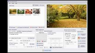 How to add Copyright Symbol and Text Watermark to Multiple Photos [upl. by Winser161]