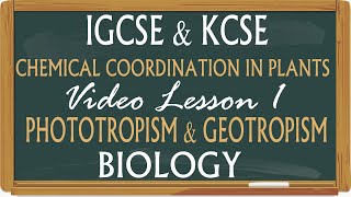 WithMe KCSE amp IGCSE Biology Coordination and Response in Plants  Phototropism amp Geotropism [upl. by Eesak317]