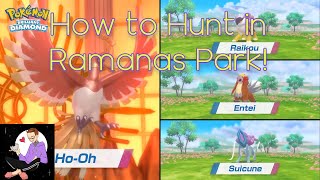 HOW TO SHINY HUNT IN RAMANAS PARK All the Legendaries Pokemon BDSP [upl. by Ahen]