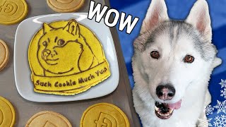 Doge Coin Dog Treats 🚀 To the MOON  DIY Dog Treats [upl. by Collayer]