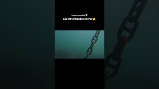 Profundidades del mar unmatambritodeviaje terror oceano piratasdelcaribe [upl. by Nytsirt]