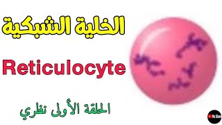 الخلايا الشبكية ما هي؟ أسباب ارتفاعها وأسباب انخفاضها Reticulocyte 🩸 [upl. by Alrrats675]