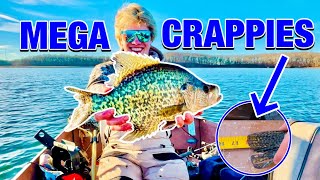 2024 MEGA CRAPPIE FISHING NEW PB  OPEN WATER GIANTS [upl. by Iam]