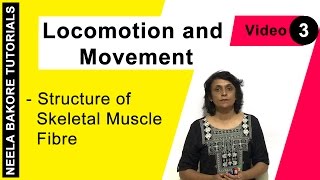 Locomotion and Movement  NEET  Structure of Skeletal Muscle  Neela Bakore Tutorials [upl. by Adora]