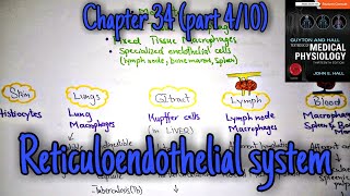 Reticuloendothelial sytem chapter 34 part 4 Guyton and Hall text book of physiology [upl. by Noremac178]