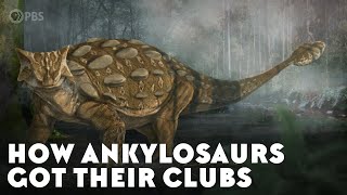 How Ankylosaurs Got Their Clubs [upl. by Juana]