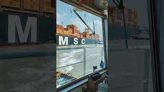 MSC container ship UNBERTHING TIME music bollywood song [upl. by Wistrup]