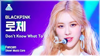 예능연구소 직캠 BLACKPINK  Dont Know What To Do ROSÉ 블랙핑크 로제 Show Music Core 20190406 [upl. by Godden]