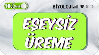 10 Sınıf Biyoloji Eşeysiz Üreme Basit Konu Anlatım 2023 [upl. by Williamsen]