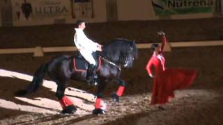 Flamenco Act  PVDA Dancing Horse Challenge 2011 [upl. by Noonberg]