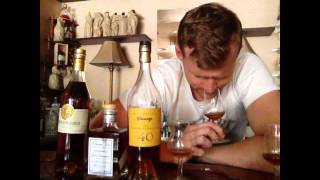 Cognac Armagnac and Brandy [upl. by Santoro]