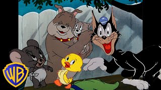 Tom amp Jerry  Best Side Characters 🐣🐶  Classic Cartoon Compilation  wbkids​ [upl. by Ereveneug586]