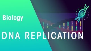 DNA Replication  Genetics  Biology  FuseSchool [upl. by Fulks]