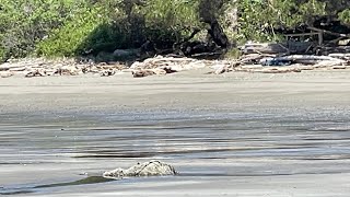 Rockhounding trip to Mill beach Brookings Or [upl. by Shulem556]