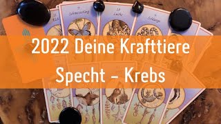 Specht Krebs 🧡 2022 Deine Botschaften der Krafttiere 🧡 Jahresreading Medizinrad Orakel Kartenlegen [upl. by Alvira276]