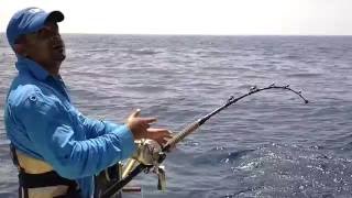 Kashmiri and group fishing  Giant trevally in Watamu [upl. by Slocum]