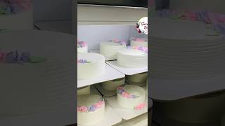 6 മണിക്കൂറിൽ 12 Cakes cakes baking cakerecipe reels shorts bulkorder business [upl. by Sheila]