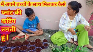 मैं अपने बच्चों के साथ मिलकर कैसे प्लांट की कटिंग लगती हूं l How I plant cuttings with my children [upl. by Ez]