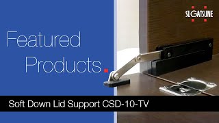 Soft Down Lid Support CSD10TV [upl. by Everard282]