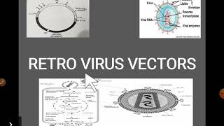 Retrovirus Vectors Animal Biotechnology [upl. by Eirene]