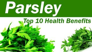 Top 10 Benefits of Parsley  Parsley Leaves Benefits and Uses  Amazing Benefits Of Parsley [upl. by Adnilec119]