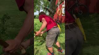 Scything Tricky Areas Clearing Around Trees shorts [upl. by Eicrad]