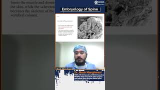 Exploring Spine Embryology with Dr Jitesh Manghwani  Conceptual Orthopedics [upl. by Brent448]