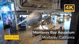 4K Walking Tour of Monterey Bay Aquarium in Monterey California [upl. by Oiramel190]