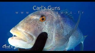 Carls Guns quotEpeore Laserquot 2016 French Spearfishing [upl. by Catrina]