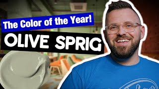 The 2022 COLOR OF THE YEAR  PPG Paints  Olive Sprig Color Review [upl. by Akiria]