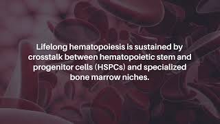 Case for Inflammatory Memory for Hematopoietic Stem and Progenitor Cells in AML Niche  Oncotarget [upl. by Mann]